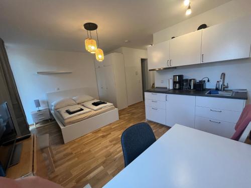New Business Apartment C, Drážďany (fotografie 7)