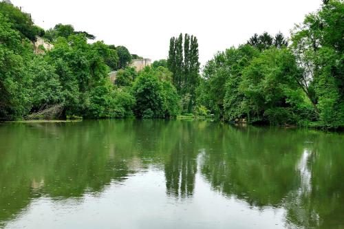 Les Jardins du Clain