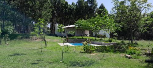 . Los Agapantos