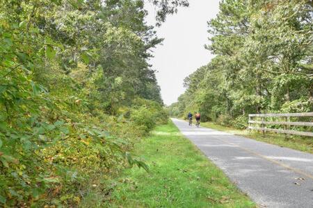 Bring your pups to Chatham Direct access to the Cape Cod Rail Trail