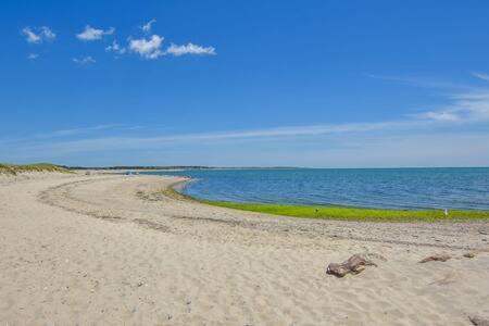 Bring your pups to Chatham Direct access to the Cape Cod Rail Trail