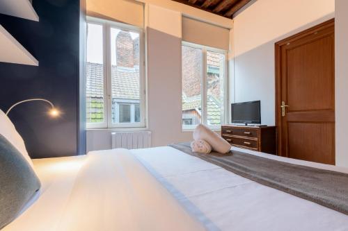 Old Lille apartment with cachet parking