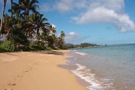 Beautiful Beachfront Condo