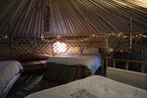 Hapus Yurt Luxury Yurts & Barn - image 10