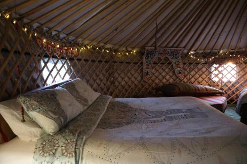 Hapus Yurt Luxury Yurts & Barn - image 12