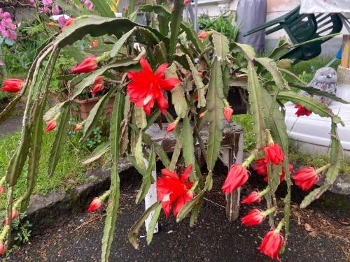 VILLA BRUNEGG Leoben GÖSS VILLA BRUNEGG Leoben GÖSS