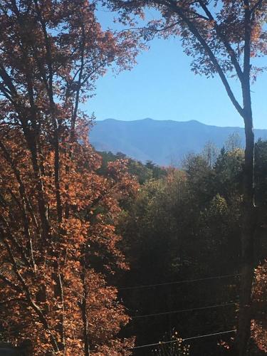 South Side Serenity in Sevierville, USA
