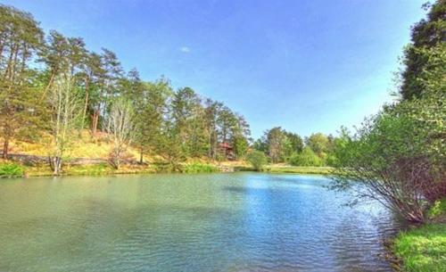 Snoozers Hollow in Sevierville, USA