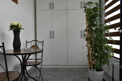 Apartmani DUGA in Ljubićki kej