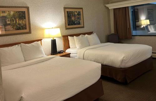 Queen Room with Two Queen Beds - Non Smoking