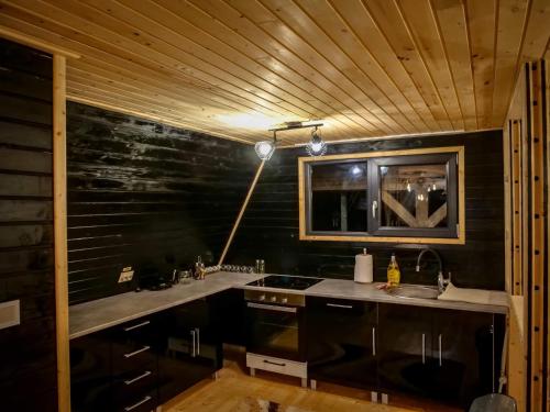 virtuve, Cabana Vlad Maramureș (Cabana Vlad Maramures) in Desesti
