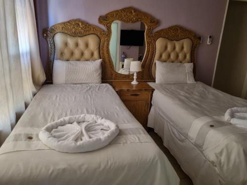 Apelles Palace Guest House