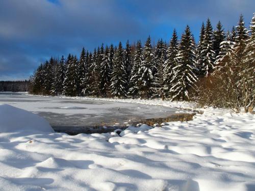 Gîte au calme pleine nature près d'un ruisseau