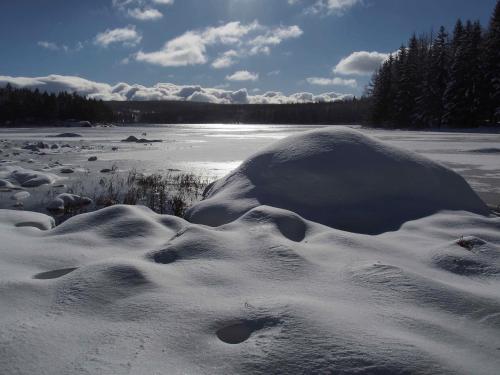 Gîte au calme pleine nature près d'un ruisseau