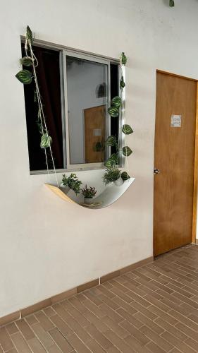 Casa Egos Pop Laureles, Medellín (foto 11)