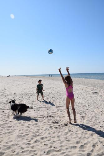 Apartament Sosnowy Shellter Rogowo