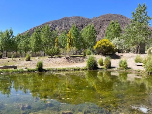 Viví Potrerillos