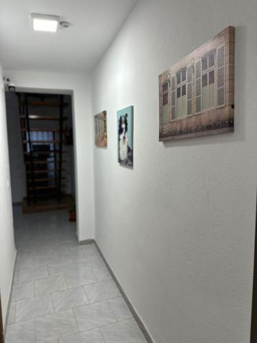 Hostal La Campiña, Ronda (photo 9)