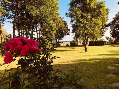 Ferienwohnung Zur Schoritzer Wiek Ferienwohnung Zur Schoritzer Wiek