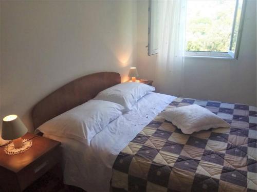 Apartments with a parking space Babino Polje, Mljet - 22323