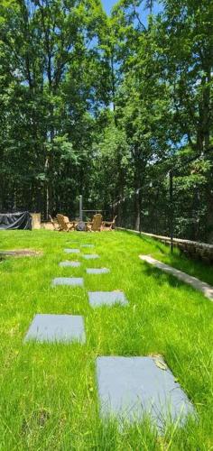 Luxury getaway in vibrant woods. in Bushkill, USA