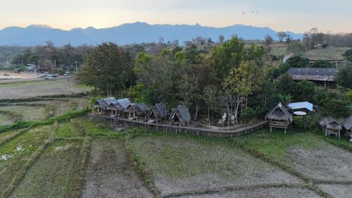 Paddy Fields Haven - Natures Nest