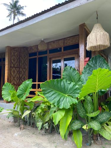 Dee Siargaonon Homestay in Siargao Island