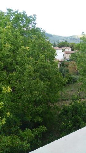 Il Giardino del Gallo