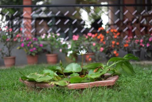 Coorg Stream Side Homestay