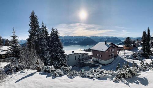 Rigiana auf der Königin der Berge