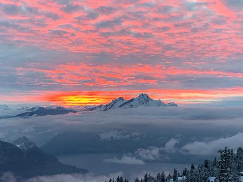 Rigiana auf der Königin der Berge