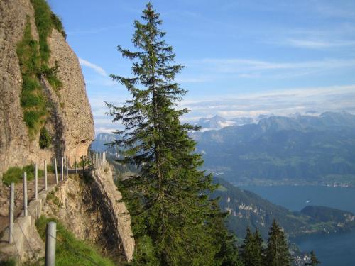 Rigiana auf der Königin der Berge