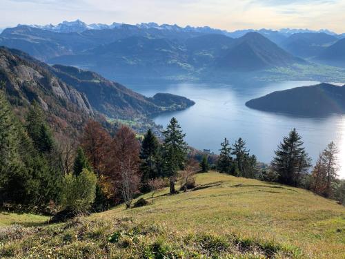 Rigiana auf der Königin der Berge