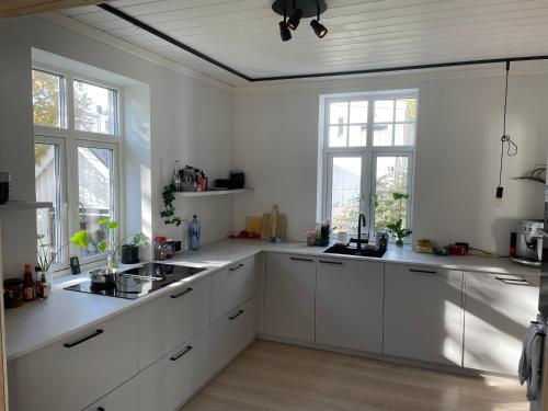 Kitchen, Central Classic Villa with a Big Sauna in Tromsø