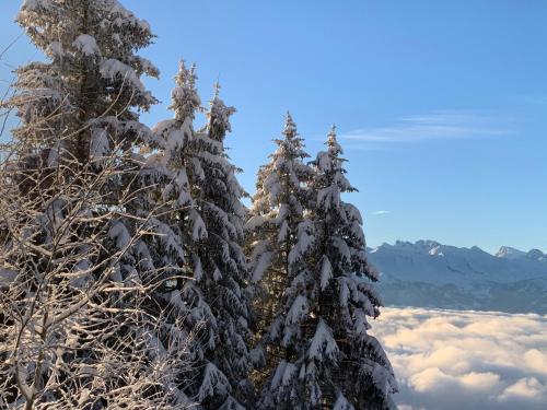 Rigiana auf der Königin der Berge