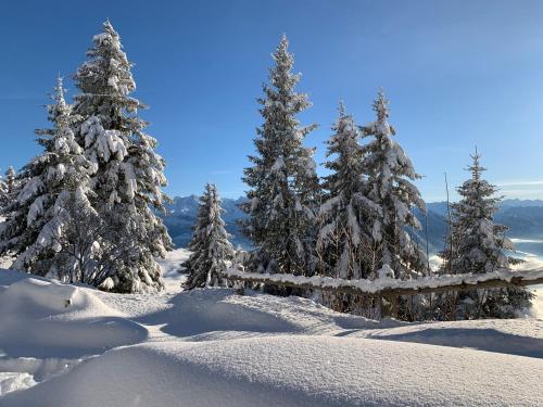 Rigiana auf der Königin der Berge