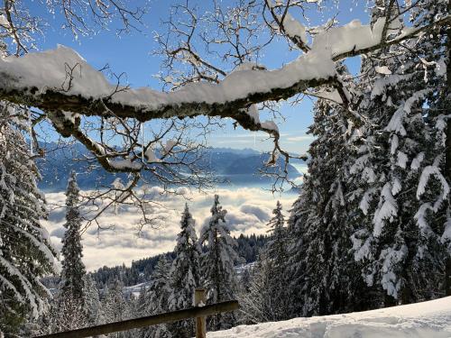 Rigiana auf der Königin der Berge