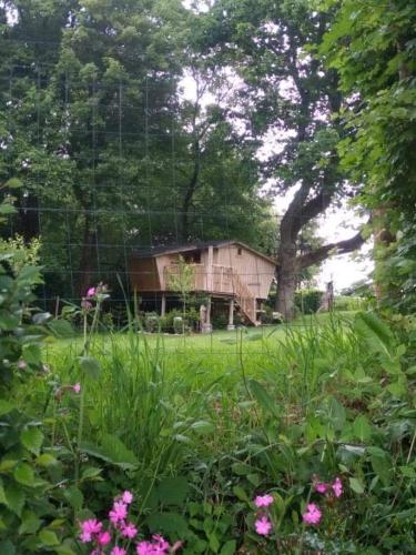 La cabane perchée du trappeur