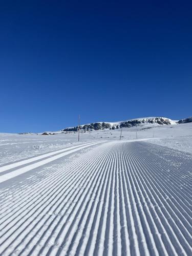 Osetunet, small and charming cabin at Ustaoset in Ustaoset