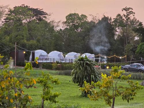 Riverhill khaoyai Camping