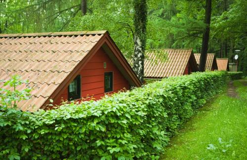 Waldidylle - Bungalows an der Talsperre Kriebstein