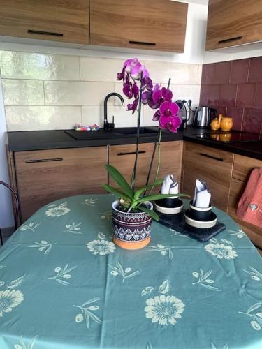 Maisonnette de Jardin, Marseille (photo 4)