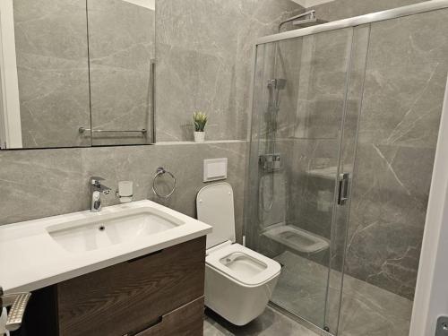 Deluxe Flat with garden_Tirana