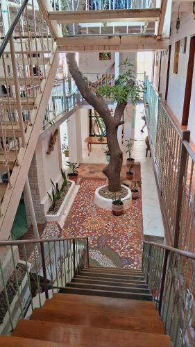 Zunanjost, Casa Oro Eco Hostel in San Juan Del Sur