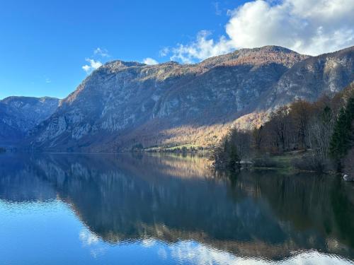 Apartma Tisa Bohinj - Apartment