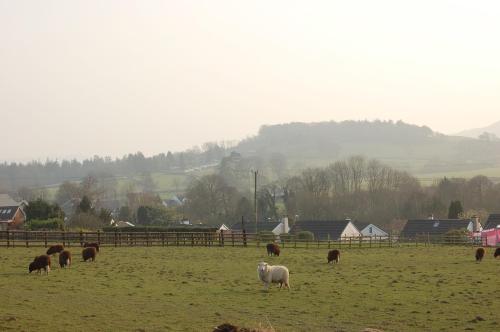 Bronhaul Cottage in Pennal