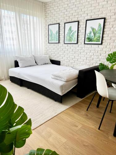 The Black & White Oasis