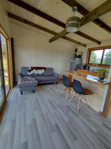 tiny house comuy