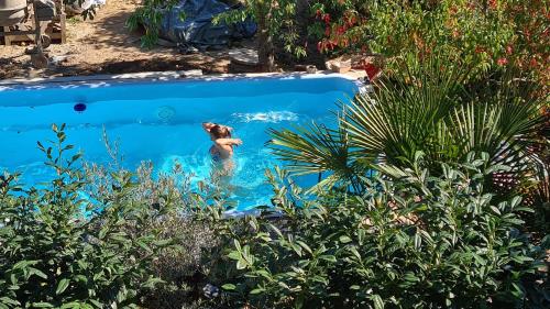 Pension mit Moselblick in 克洛滕