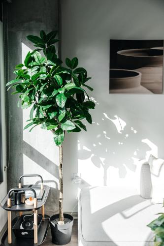 Luxurious Hollywood condo, Los Angeles (fotografie 5)